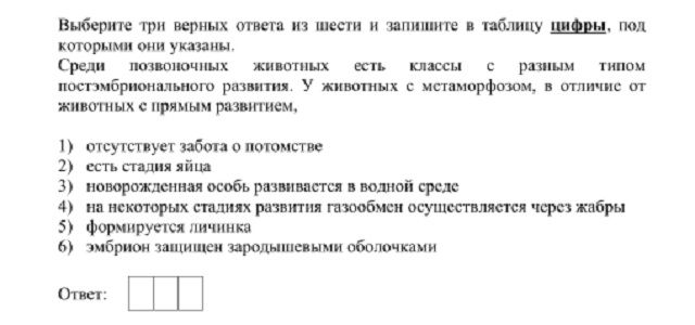 Кракен мефедрон