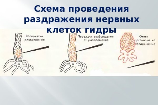 Кракен настоящее зеркало