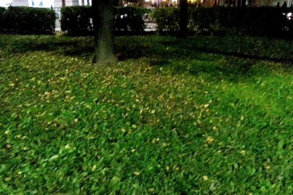 Кракен торговая площадка