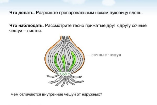 Сайт наркотиков купить